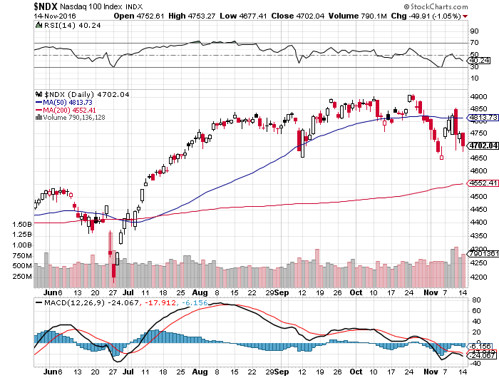 Der USA Bären-Thread 952452
