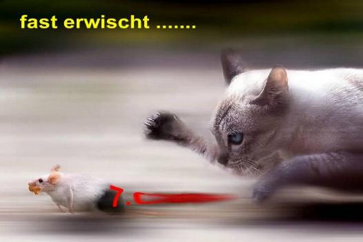 1.755.DAX Tipp-Spiel, Mittwoch, 29.02.2012 489472