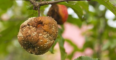 Quo Vadis Dax 2013 - Up, dank Liquidität 572655