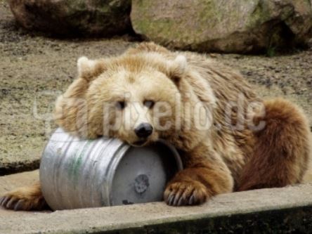 2013 QV DAX-DJ-GOLD-EURUSD-JPY 665978