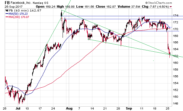 Der USA Bären-Thread 1014403