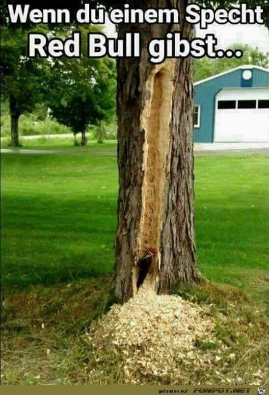 2018 QV-GDAXi-DJ-GOLD-EURUSD-JPY 1046692