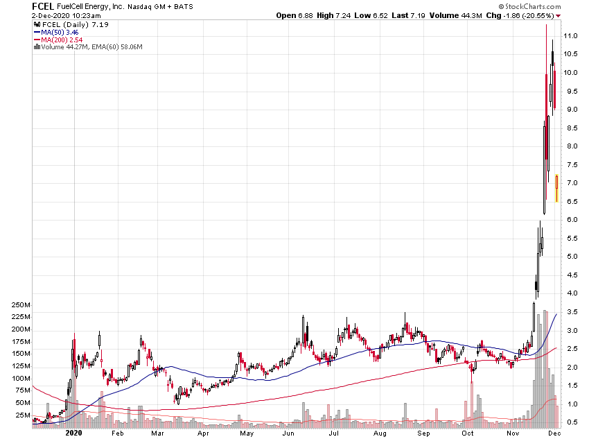 Der USA Bären-Thread 1217191
