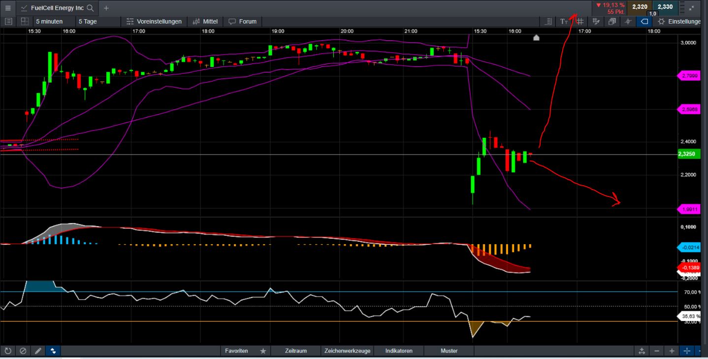 FCEL vor Gewinnschwelle 2013 1155216