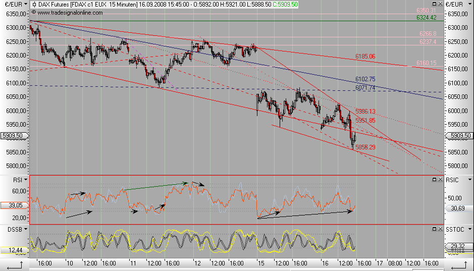 Die Bullen scharren gar nicht mit den Hufen, 186674