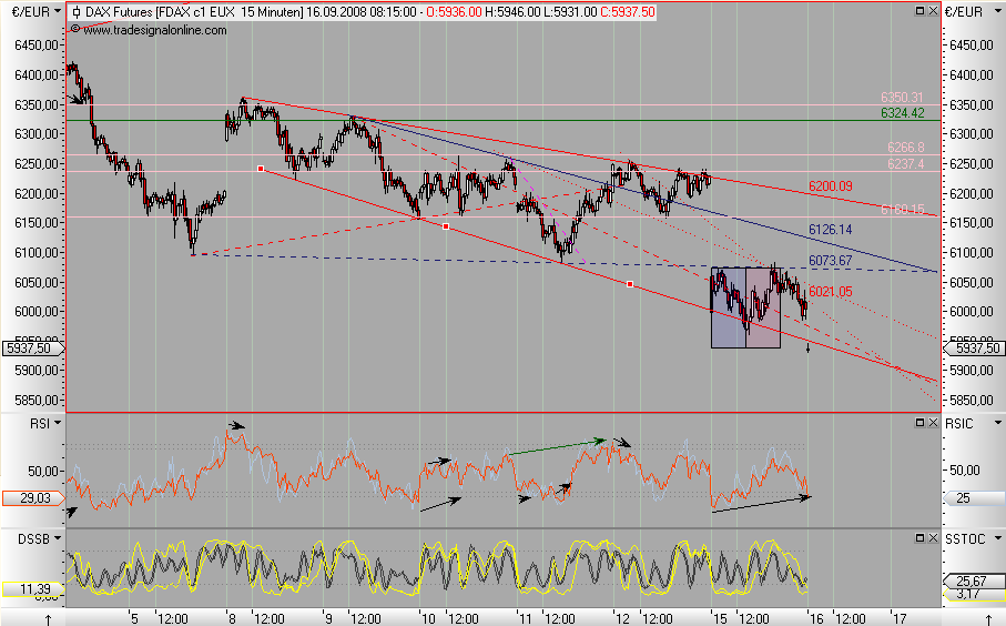 Die Bullen scharren gar nicht mit den Hufen, 186598