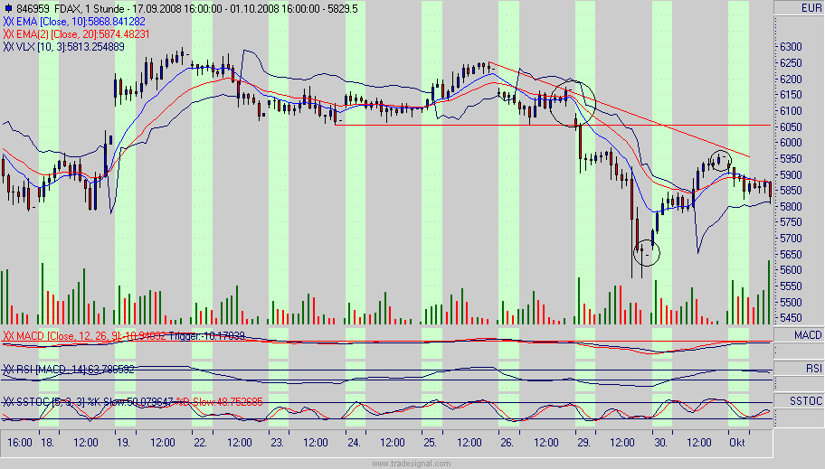 Die Bullen scharren gar nicht mit den Hufen, 189807