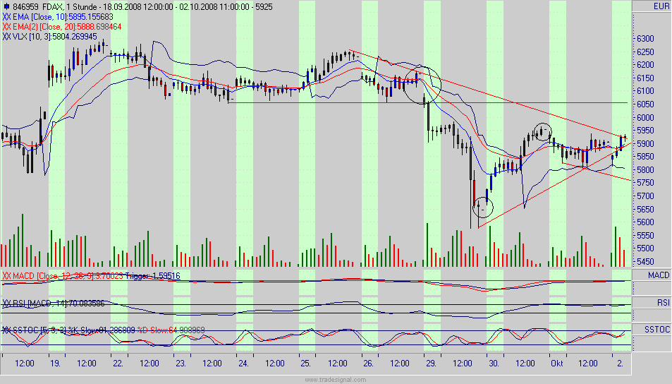 Die Bullen scharren gar nicht mit den Hufen, 189974