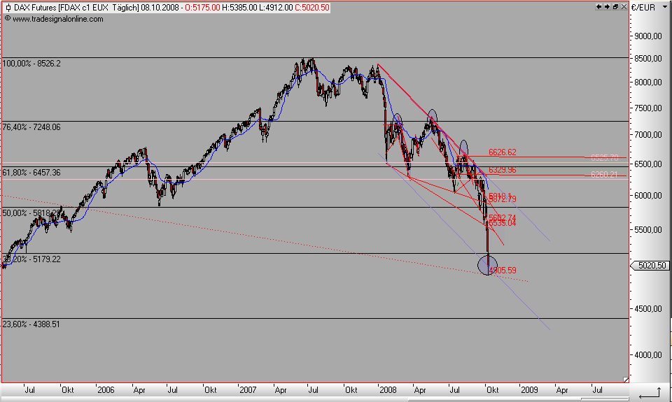 Die Bullen scharren gar nicht mit den Hufen, 191288
