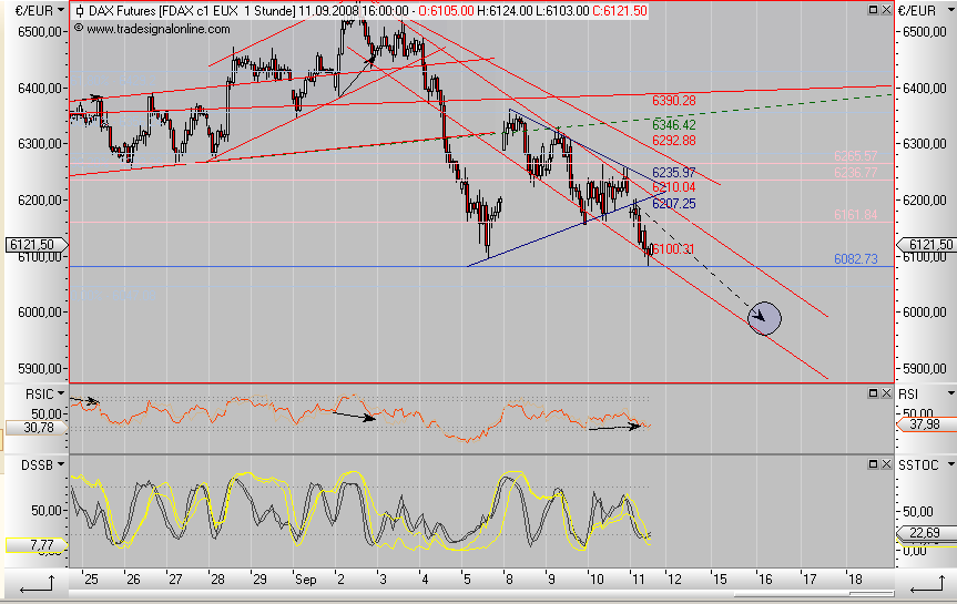 Die Bullen scharren gar nicht mit den Hufen, 185651