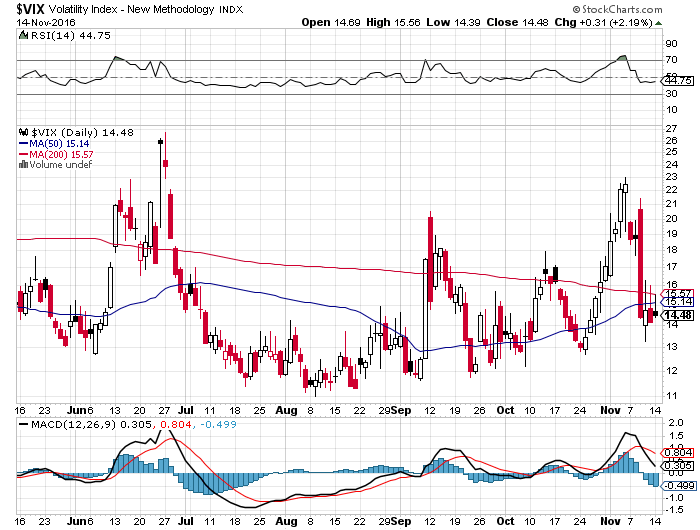 Der USA Bären-Thread 952453