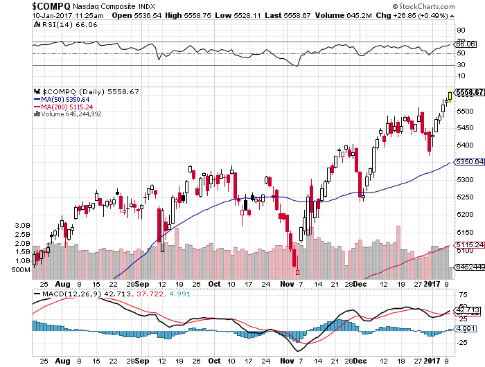 Der USA Bären-Thread 963488