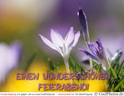 2014 QV DAX-DJ-GOLD-EURUSD-JPY 715333