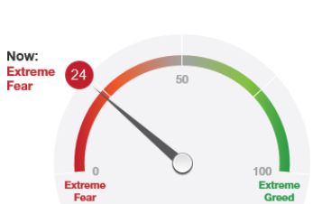 Depotbesprechung Vino feat. Reblaus 1127386