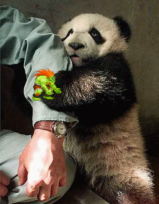 QV ultimate 2012 563850