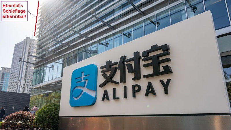 Der USA Bären-Thread 1189652