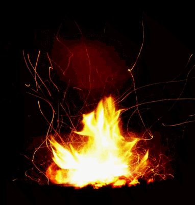 QV ultimate 2012 523086