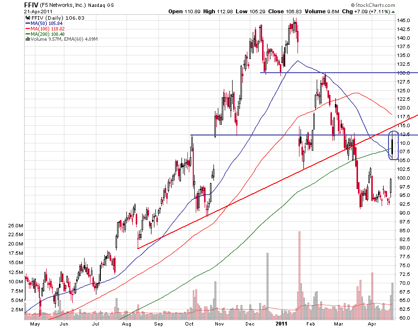 Bear Zocks - daily 397475