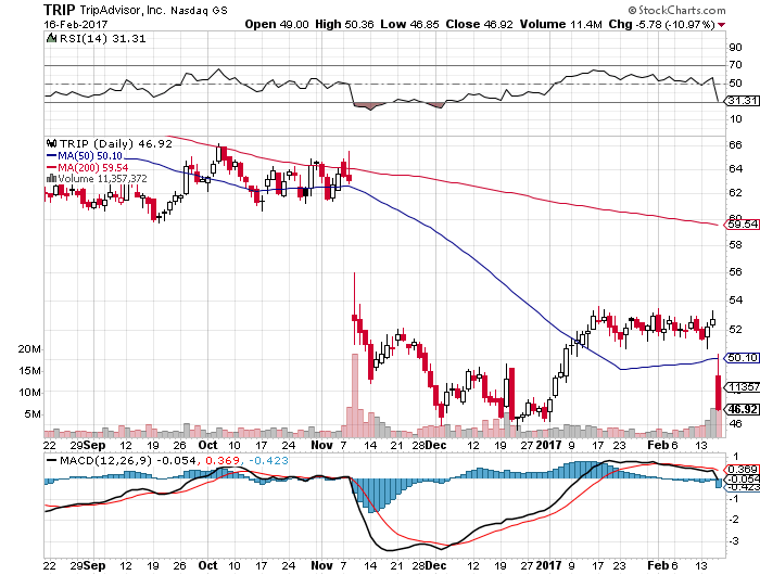 Der USA Bären-Thread 972203