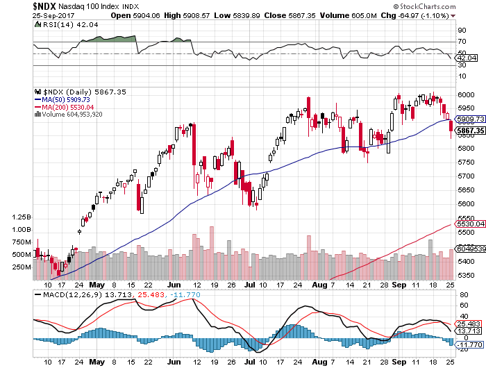 Der USA Bären-Thread 1014529