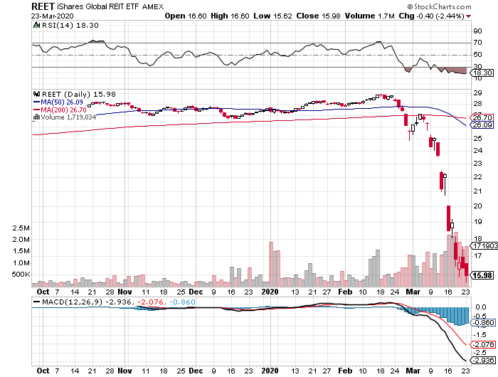 Der USA Bären-Thread 1168486