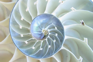 1.103.DAX Tipp-Spiel, Freitag, 14.08.09 252499