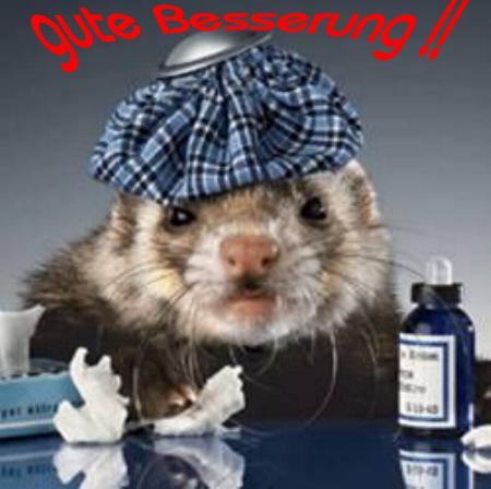 1.485.DAX Tipp-Spiel, Freitag, 11.02.11 379880