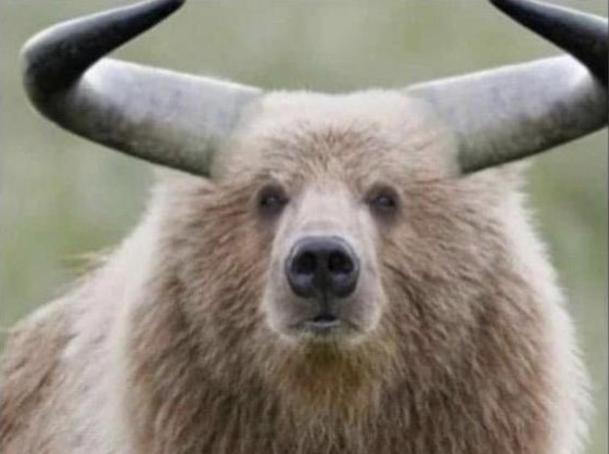 Tesla - Autos, Laster, Speicher und Solardächer 1346333