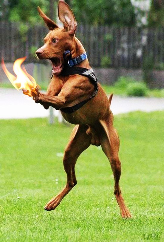 K+S: 70 Euro und mehr sind drin 604006