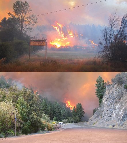 Elliott Wave DAX daily 849807