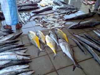 Commerzbank & DAX Optionen 492259