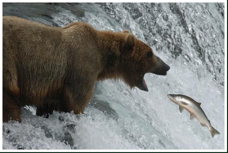 ►PTT-Trading 3. KW 142397