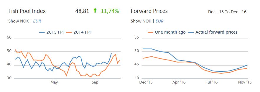 Leroy Seafood - feiner Fang fürs Depot? 875648