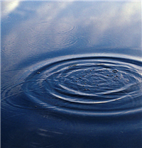 Der USA Bären-Thread 128068