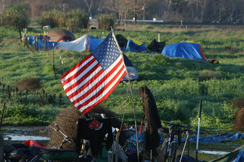 Der USA Bären-Thread 221355