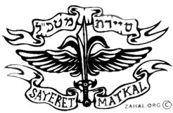 Blue Pearl Mining - Stairway to Heaven? 98456