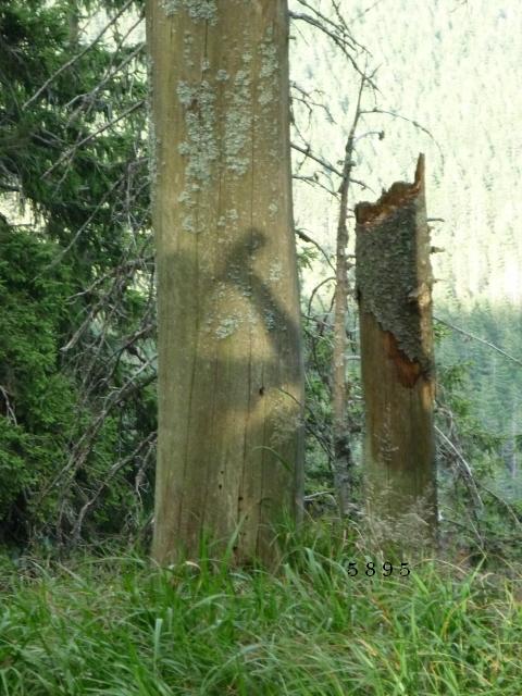 Die Links zu den Sternenkinder (DAX Spiel) 306855