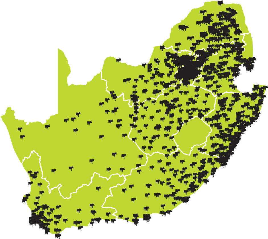 Steinhoff International Holdings N.V. 1133910