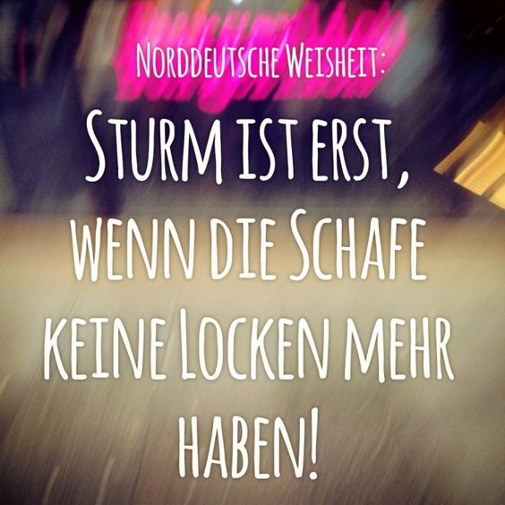 WKN 524960 - flatex geht an die Börse 1429728