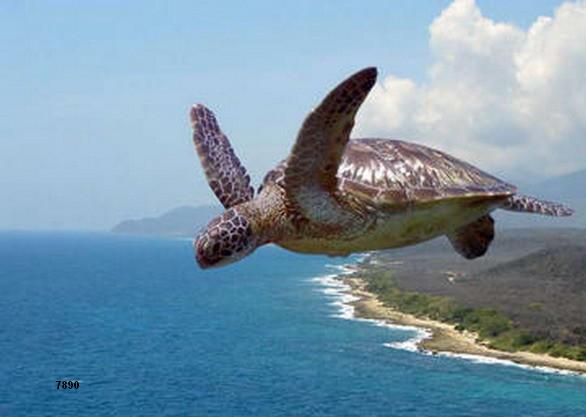 662.DAX Tipp-Spiel, Mittwoch, 14.11.07, 17.45 Uhr, 131157