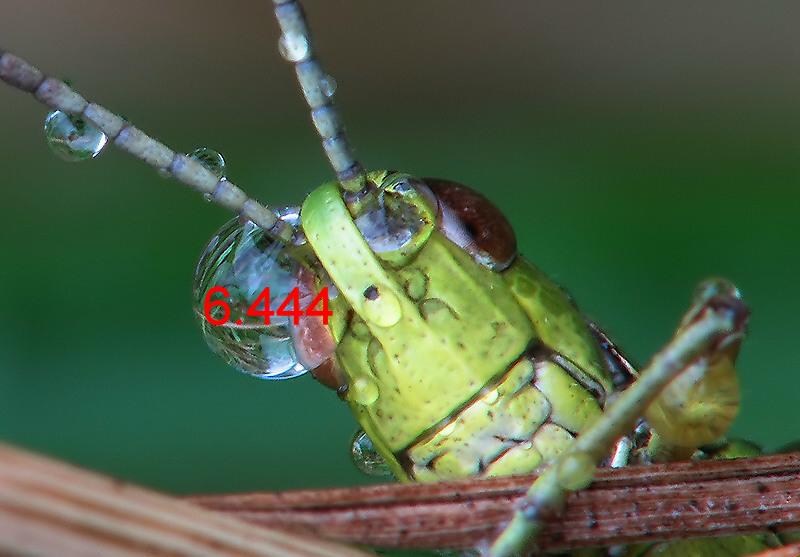 409.DAX Tipp-Spiel, Mittwoch, 15.11.06 67072