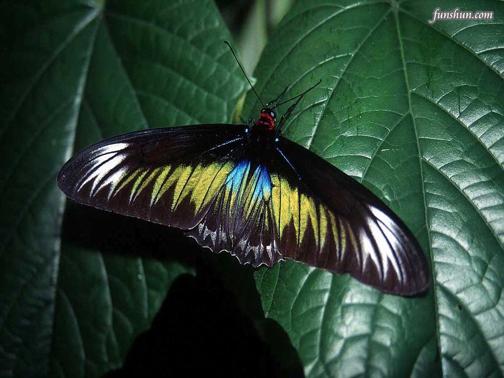 934.DAX Tipp-Spiel *Mittwoch* 10.12.08, 17.45 Uhr 204414