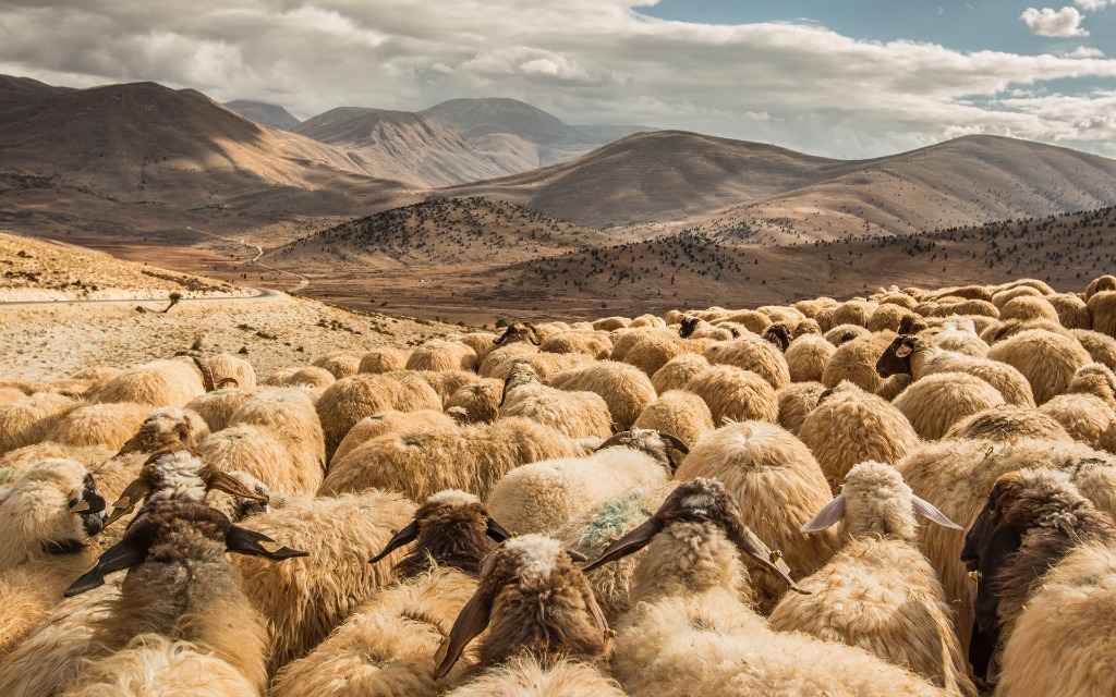 Wirecard 2014 - 2025 1143929