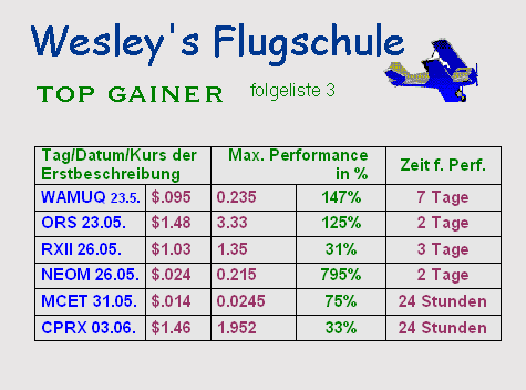 Wesleys Flugschule - US Auslese 409319