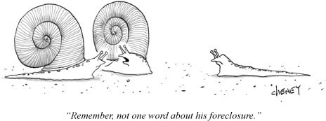 Der USA Bären-Thread 180057