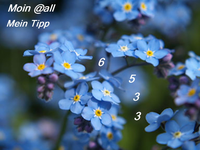 486.DAX Tipp-Spiel, Mittwoch, 07.03.07 86418