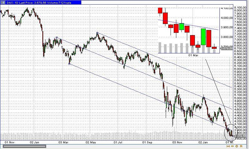 Der USA Bären-Thread 220454