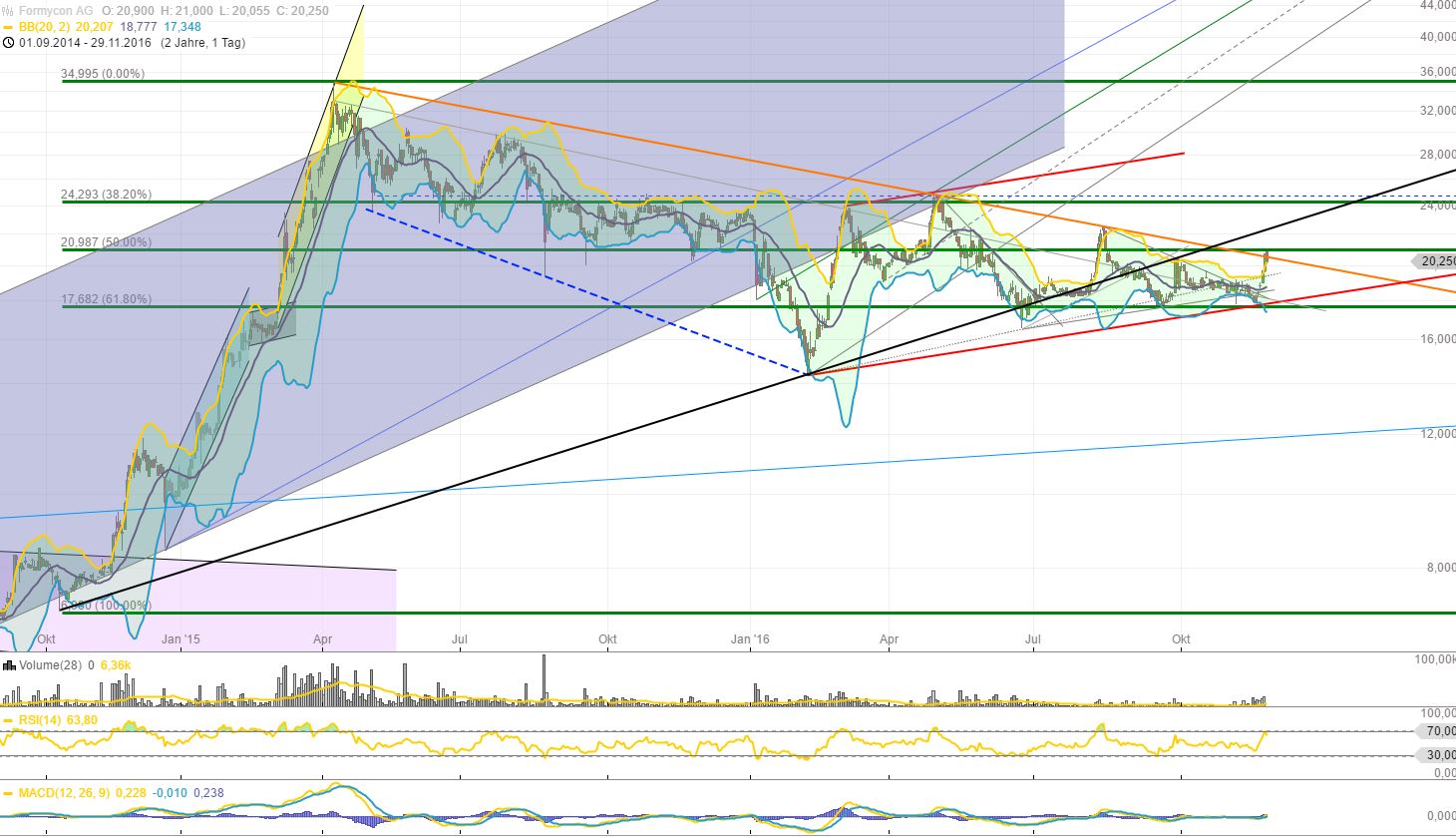 Formycon AG - Biosimilars für die Pharmabranche 955396