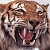 Wamu WKN 893906 News ! Tiger