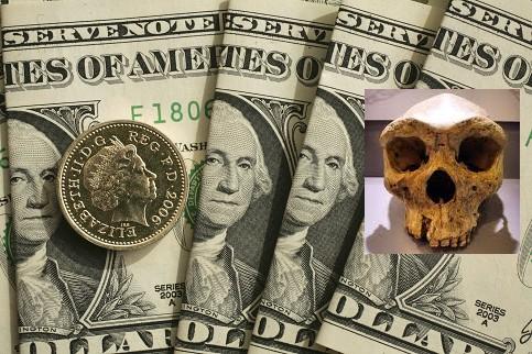 Der USA Bären-Thread 346106